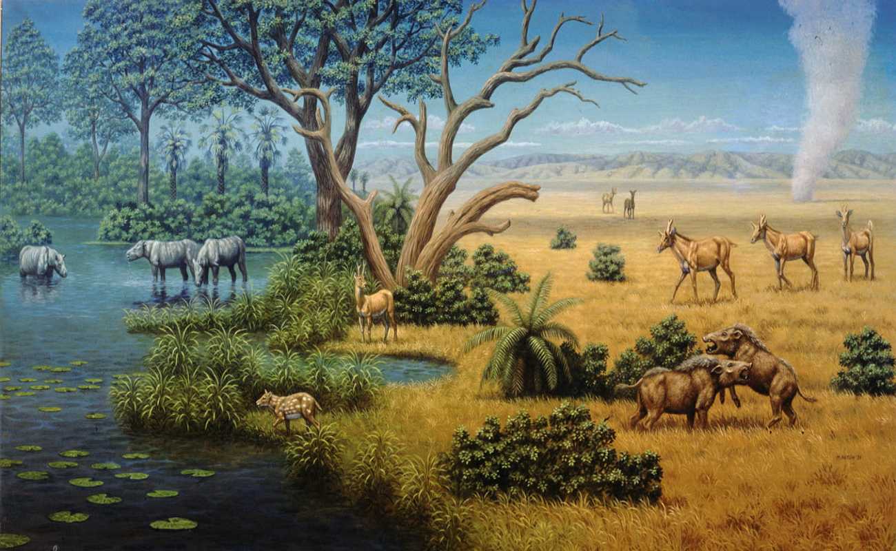 Характеристика палеогенового периода (66-23 млн лет назад) — природа мира
