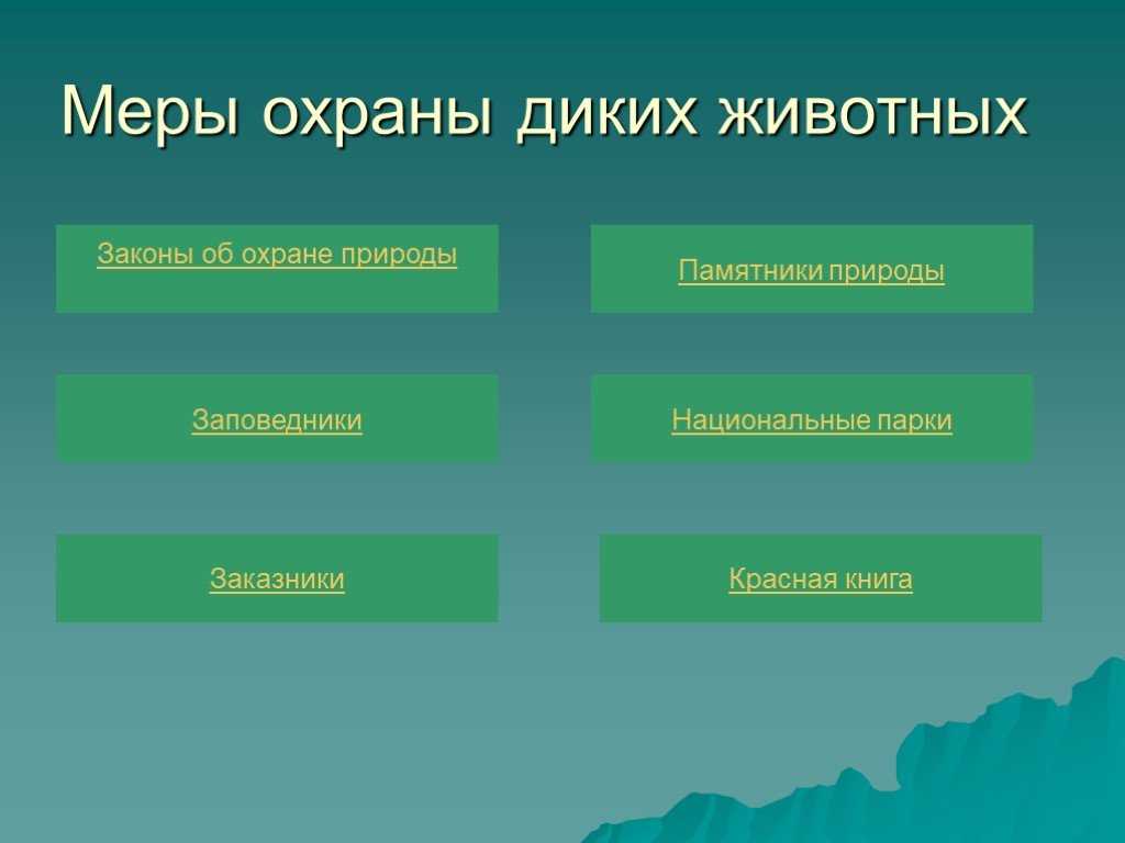 Животный мир как объект правовой охраны - банк бесплатных рефератов, курсовых, дипломных работ - "студенточка"