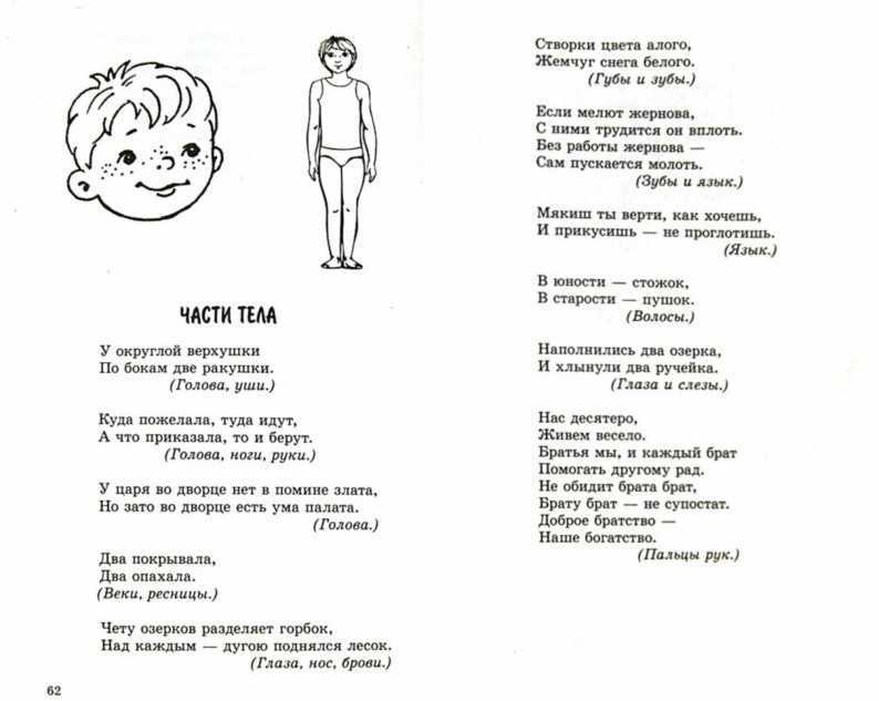 Загадки про части тела для детей с ответами - чтение.online