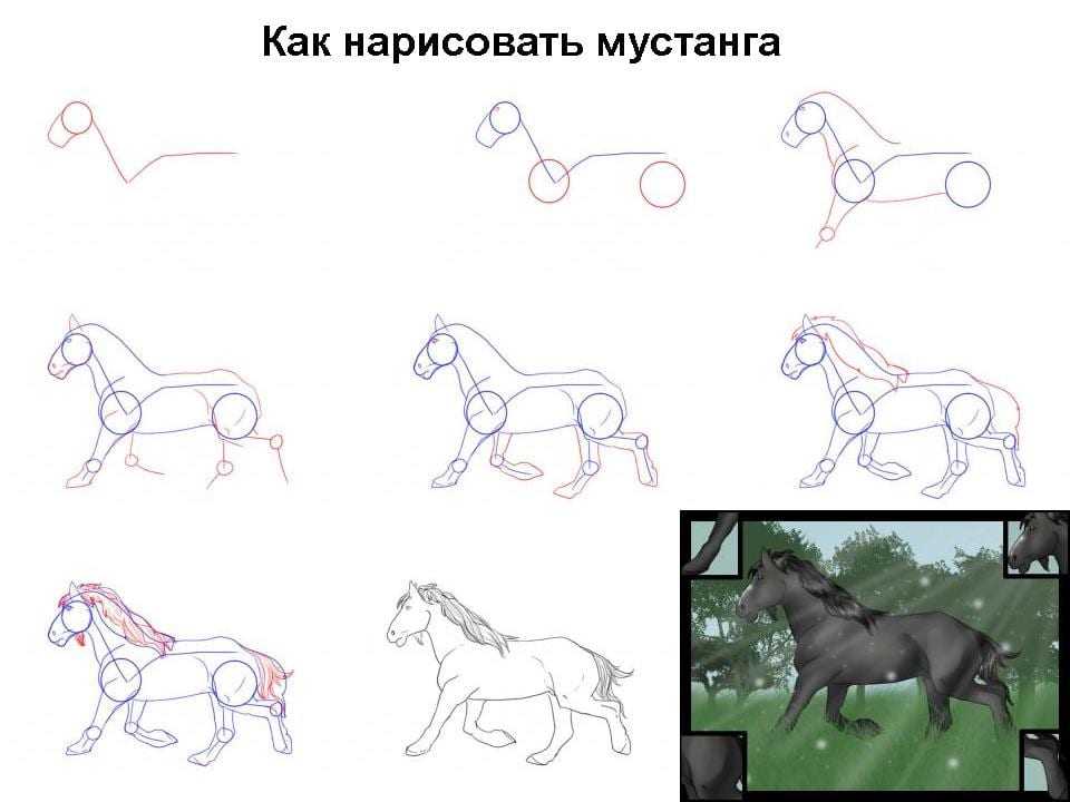 Как нарисовать лошадь поэтапно легко и красиво