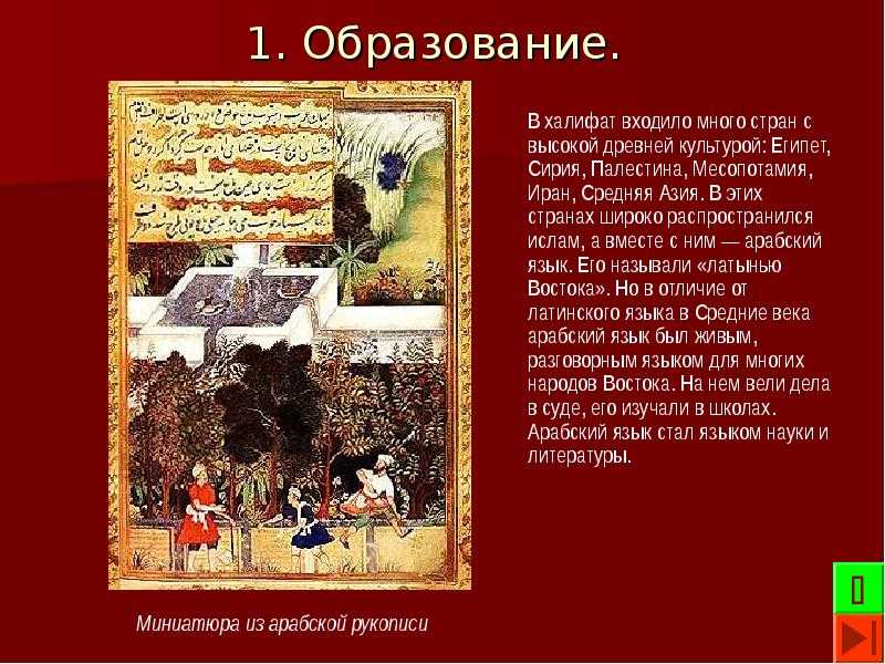 Культура стран халифата - основные достижения и вклады арабов в науку