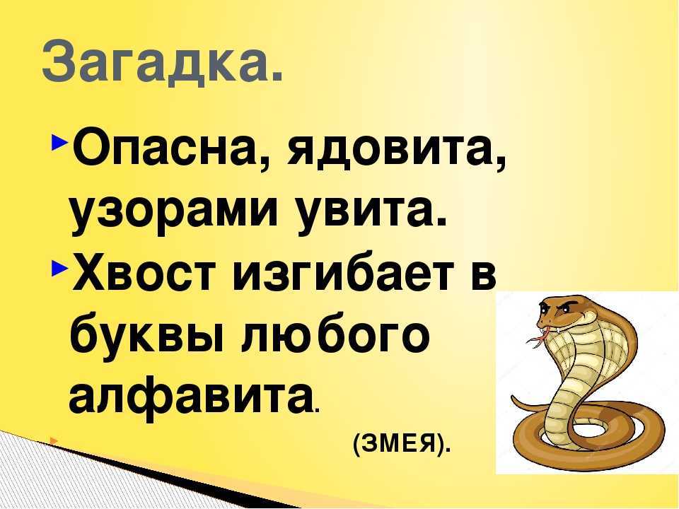 Лучшие загадки для детей 5-6 лет с ответами (можно распечатать!)