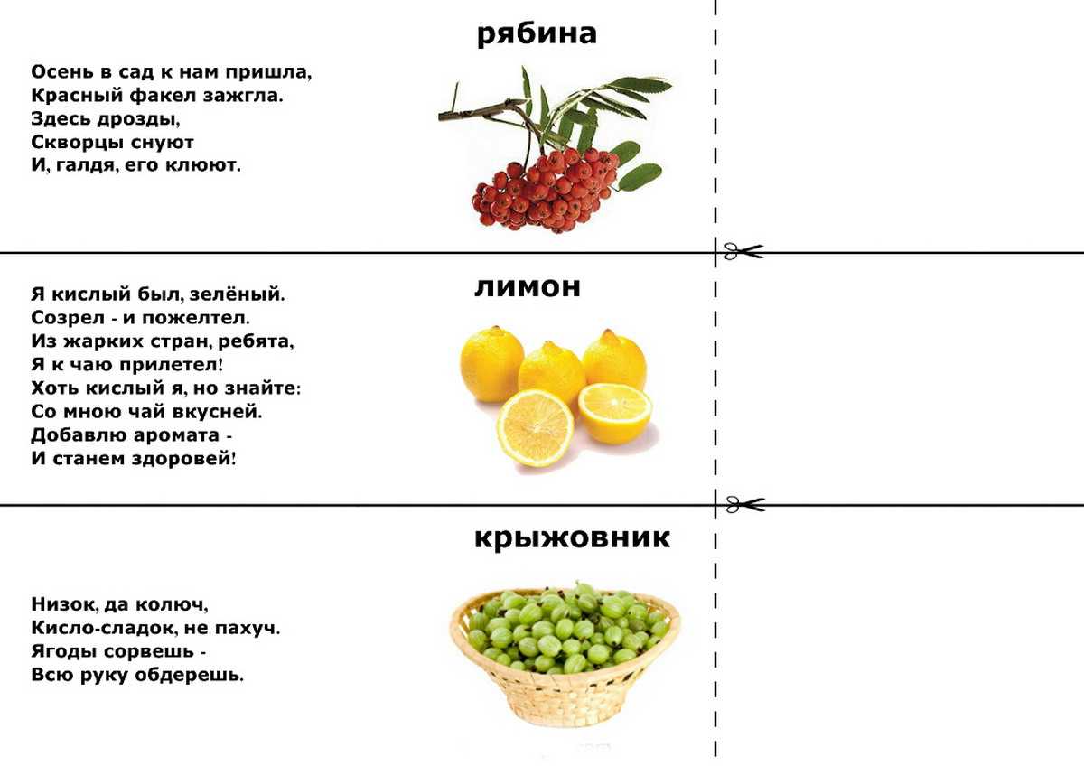 Загадки для детей 7 лет с ответами