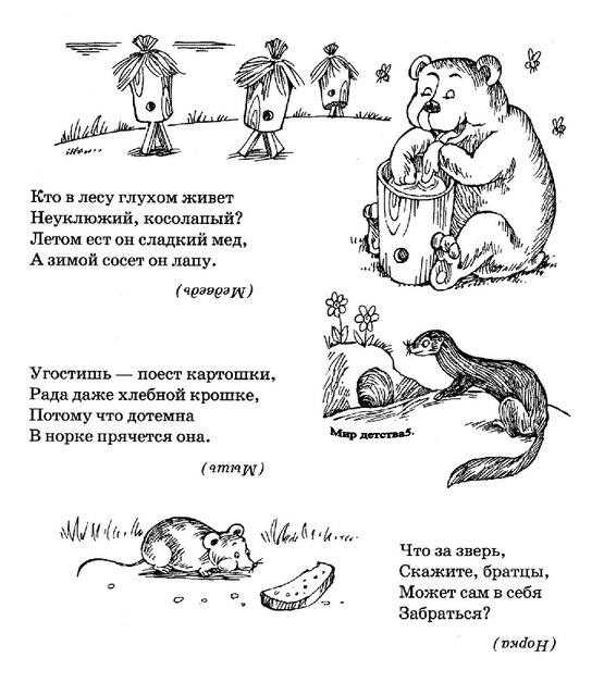 Загадки для самых маленьких детей с ответами: 55 легких загадок
