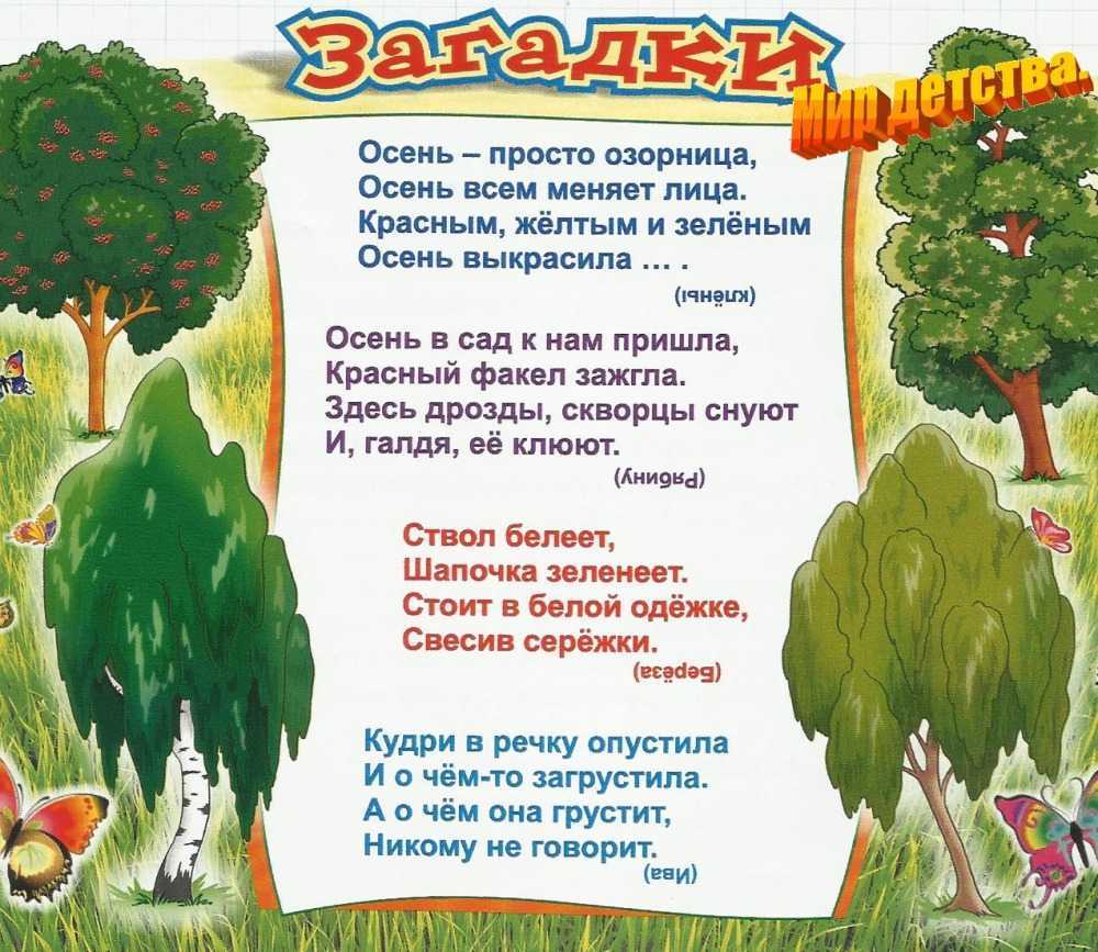 Загадки о деревьях для детей 6-7 лет с ответами - детский час
