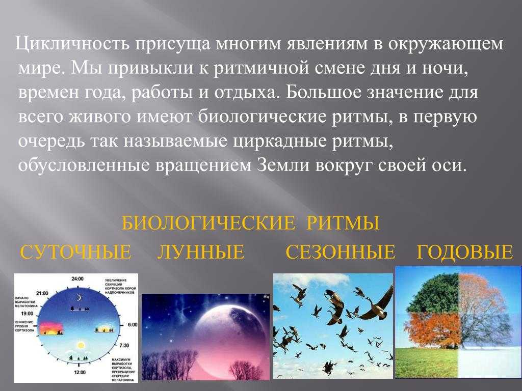 5.3. годичные ритмы. общая экология