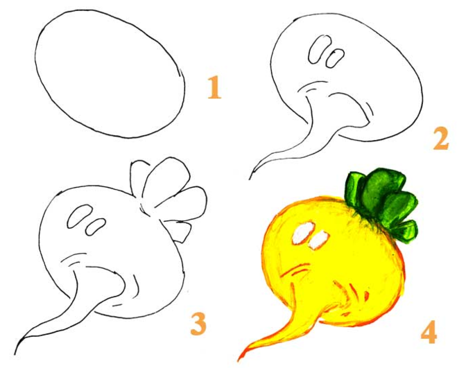 Эта пошаговая инструкция поможет научиться рисовать различные овощи взрослым, а детям вспомнить, как они появляются, и научиться распознавать их
