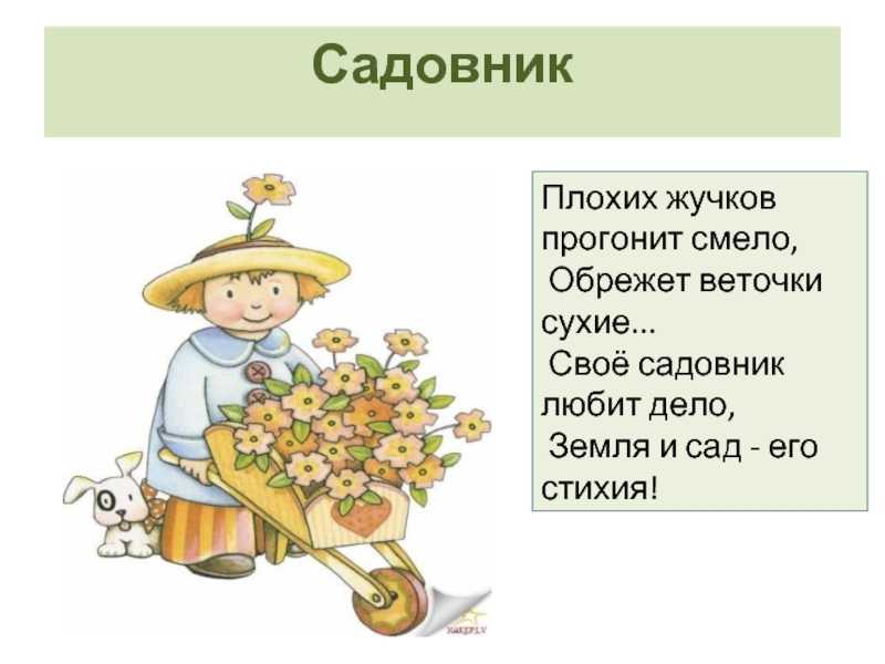 Садовник на дачу - что он должен делать и сколько надо платить