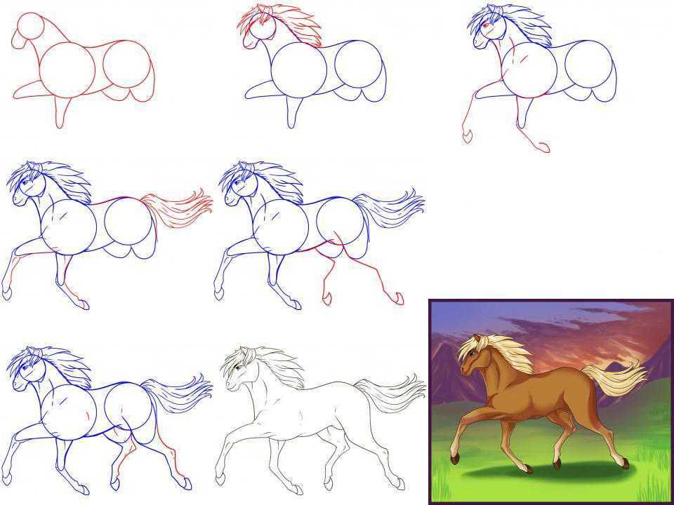 Как нарисовать лошадь - wikihow