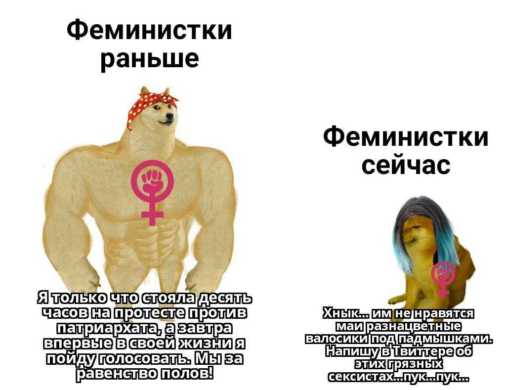Кто такие феминистки простыми словами