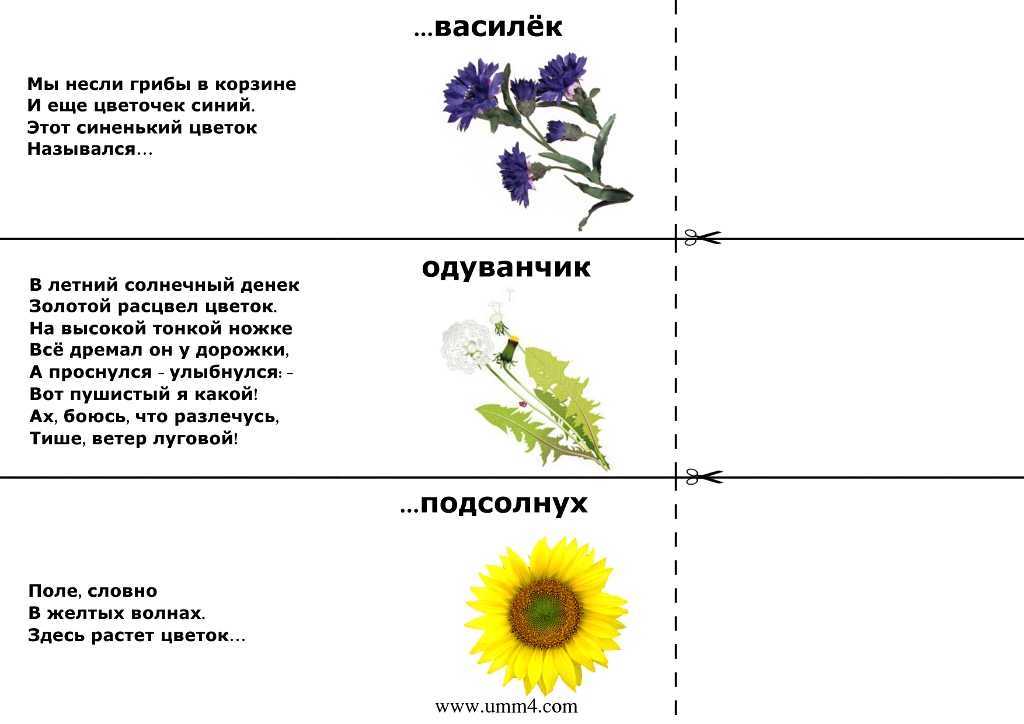 Загадки     сельскохозяйственные растения - светлана михайловна крючкова