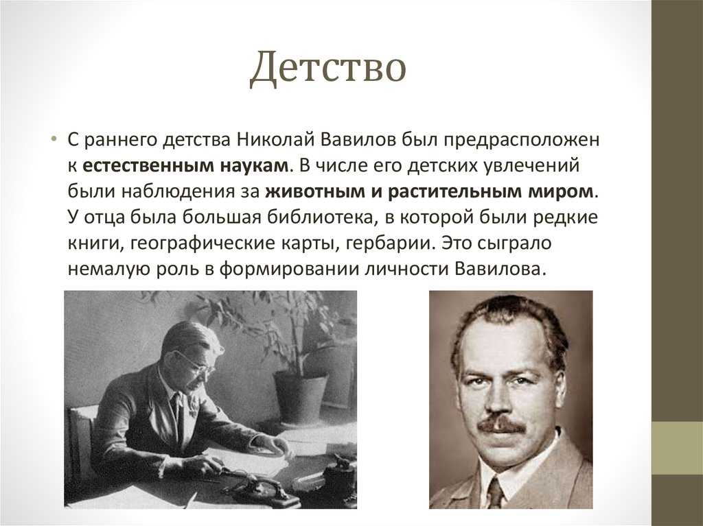 Николай вавилов: краткая биография известного ученого | ни вавилов и его научные достижения
