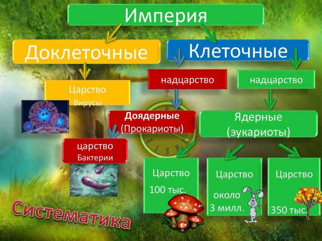 Происхождение эукариот