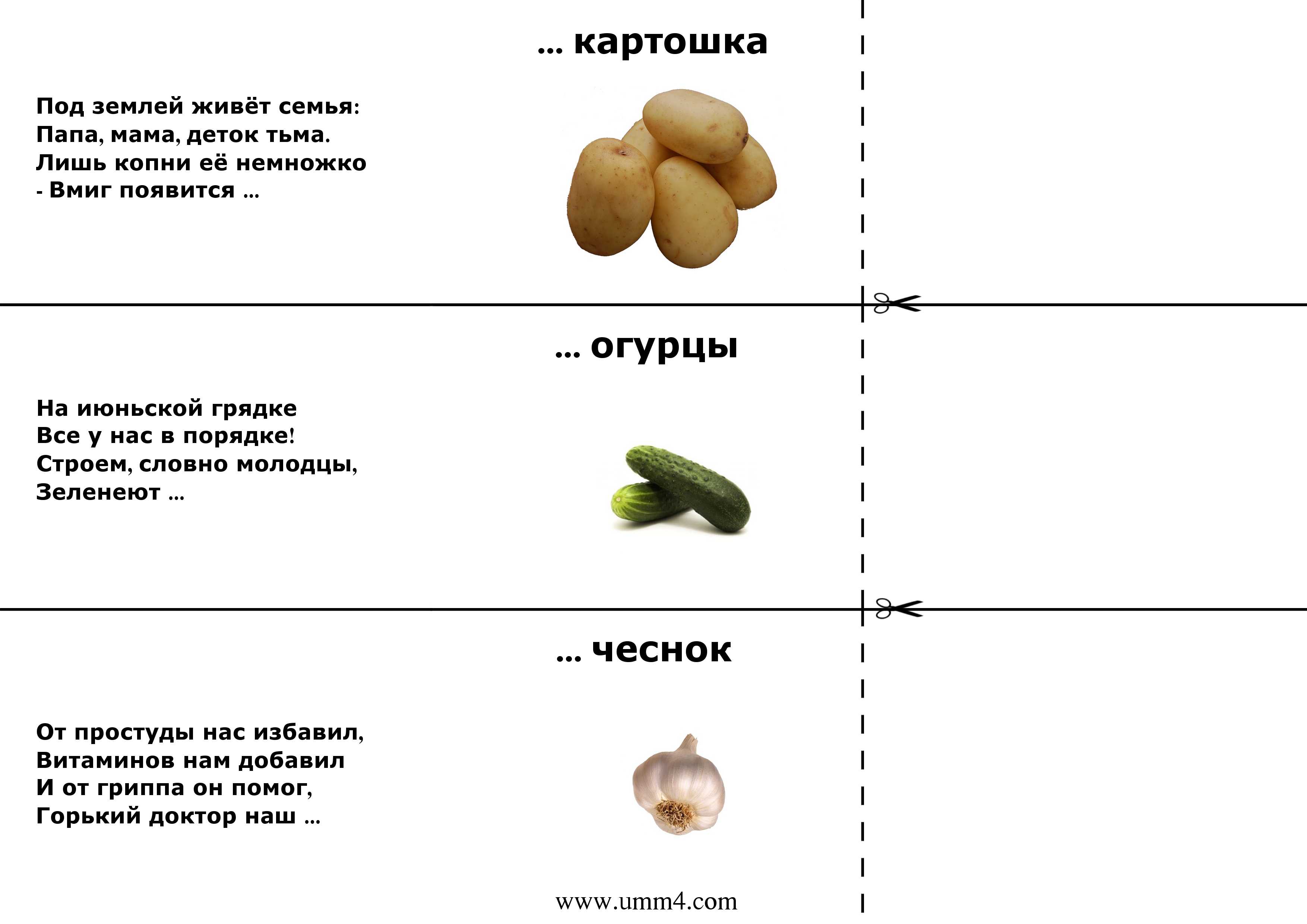 Загадки на 23 февраля для мальчиков