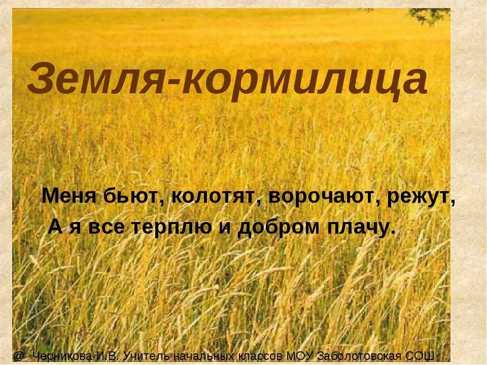 Загадки по теме почва