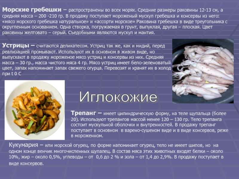 Механическая, кулинарная обработка рыбы
