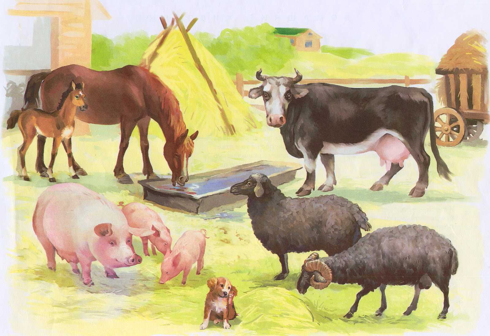 Картинки животных для детей: домашние и дикие, красивые рисунки, раскраски для малышей