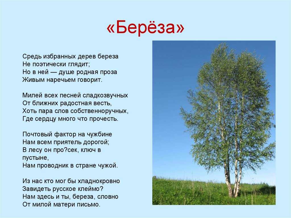 Времена года — стихи, рассказы и сказки