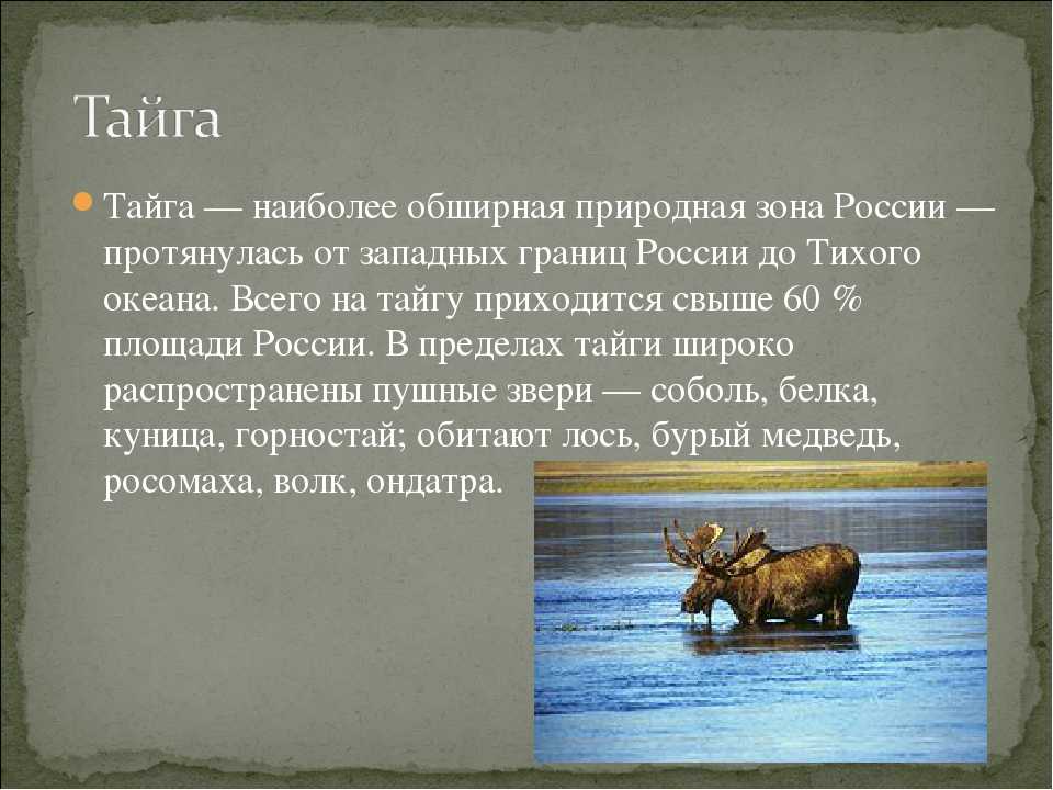 Природные зоны россии: виды, характеристика, отличия