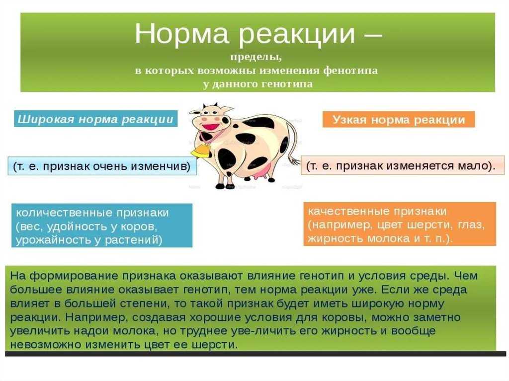Фенотипические признаки узкой и широкой нормы реакции