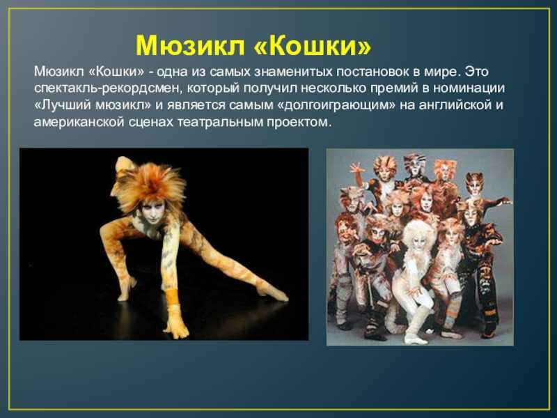 Действующие лица мюзикла кошки. история создания мюзикла кошки срочно