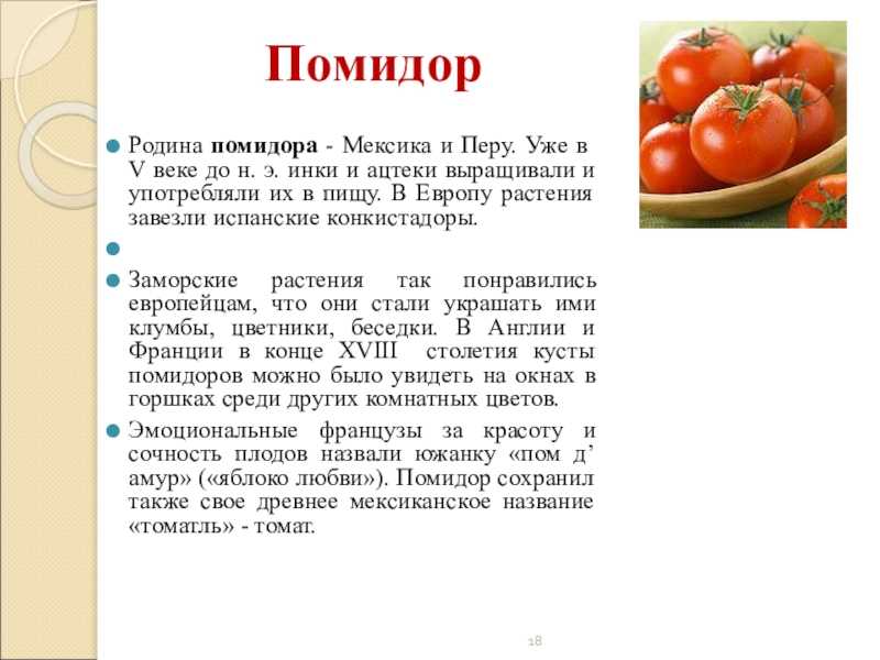 ✅ плод томата ягода рассказ. рассказ о помидоре детям - cvetochki-ulyanovsk.ru