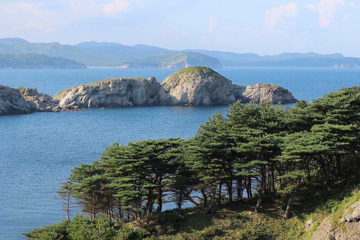 Дальневосточный морской заповедник доклад для 4 класса
