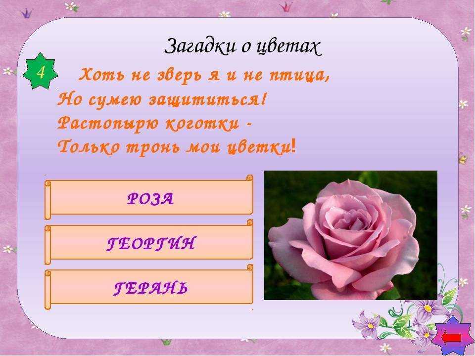 Вопросы викторина для женщин, девочек, 100 вопросов с ответами. викторины на 8 марта, шуточные, прикольные, для мам, для девочек, для женщин, для корпоратива, для старшеклассниц