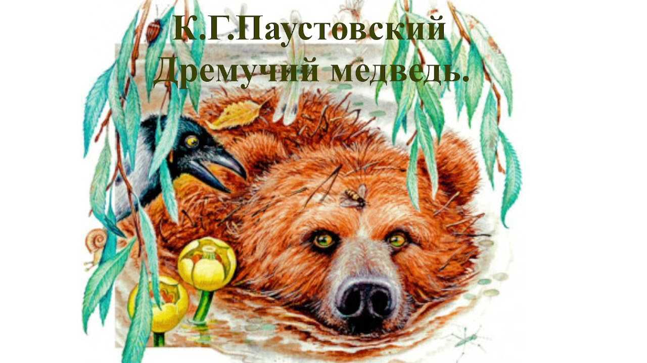К. г. паустовский дремучий медведь главные герои и их характеристики