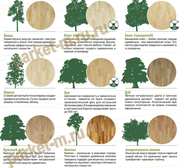 1. цвет, блеск и текстура древесины. материаловедение: конспект лекций.