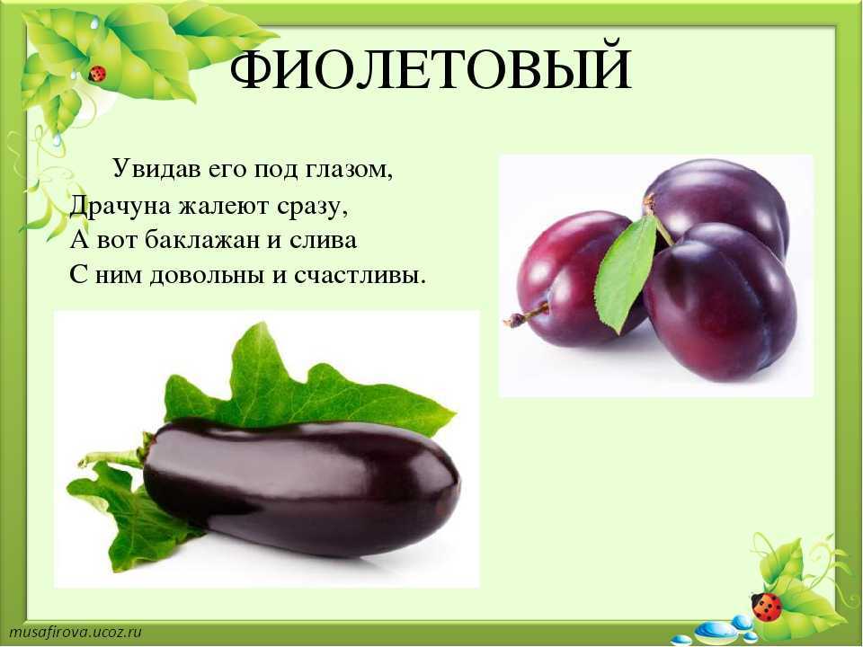 Загадки про желтый цвет светофора. загадки про пдд, светофор, регулировщика, зебру, пешеходный