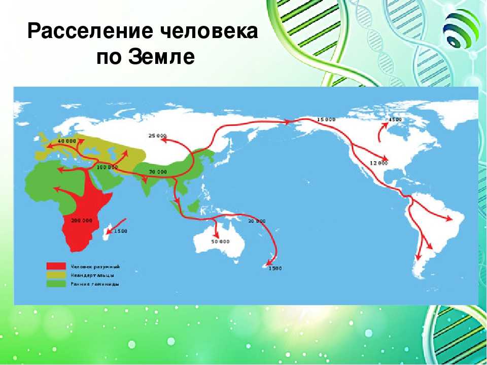 Как происходило освоение земли человеком: история и этапы заселения территории земного шара