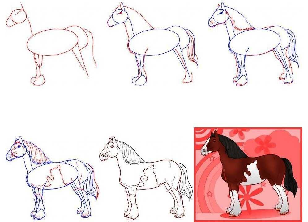 Как нарисовать лошадь цветными карандашами пошагово