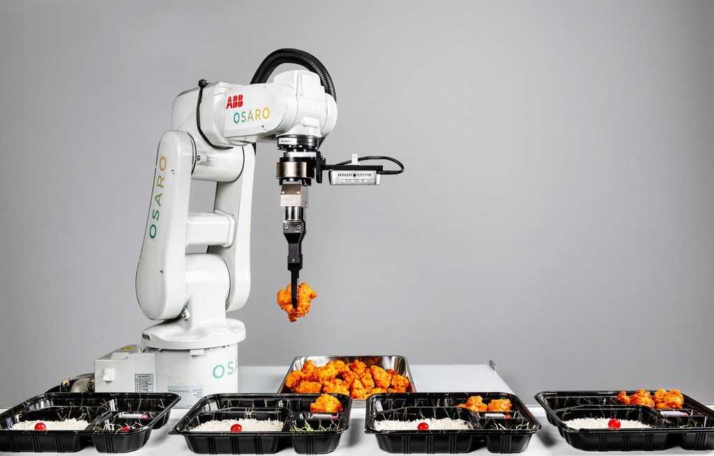 Доклад про бытовых роботов