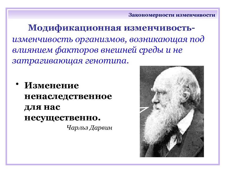 Современное представление о наследственности и изменчивости