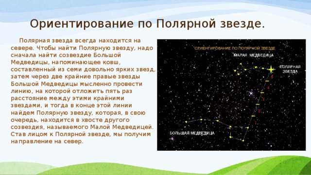 Полярная звезда: 10 фактов о самой известной звезде ночного неба - 29 декабря 2013 – земля - хроники жизни