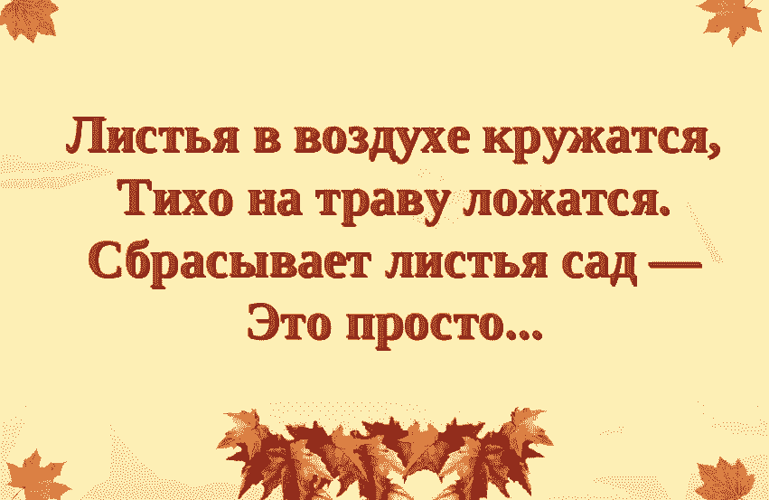 Загадки про лес