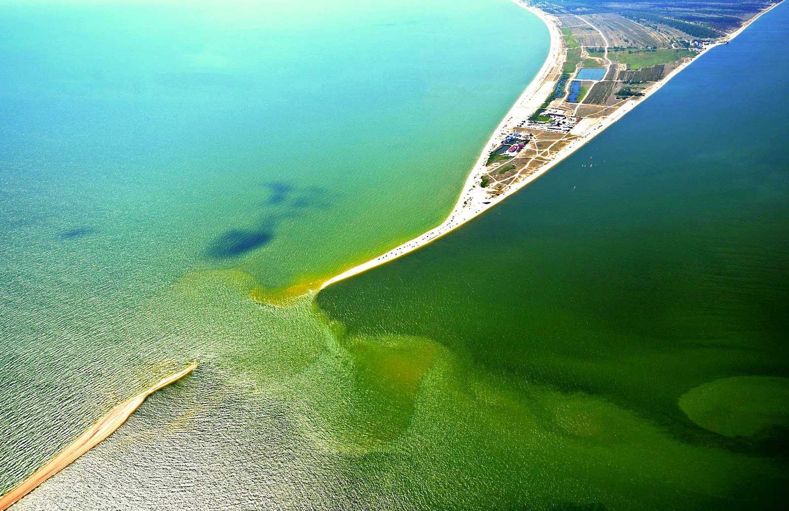 Особенности природы азовского моря кратко