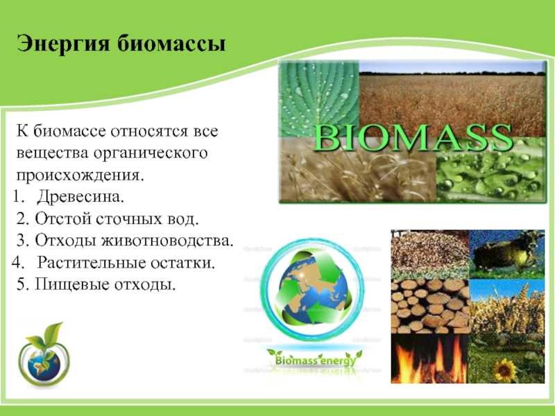 Биологическая продукция и запас биомассы - миркин б.м. и др. основы общей экологии