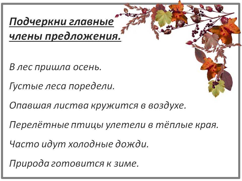 Урок русского языка во 2 классе «подлежащее и сказуемое-главные члены предложения» | начальная школа  | современный урок