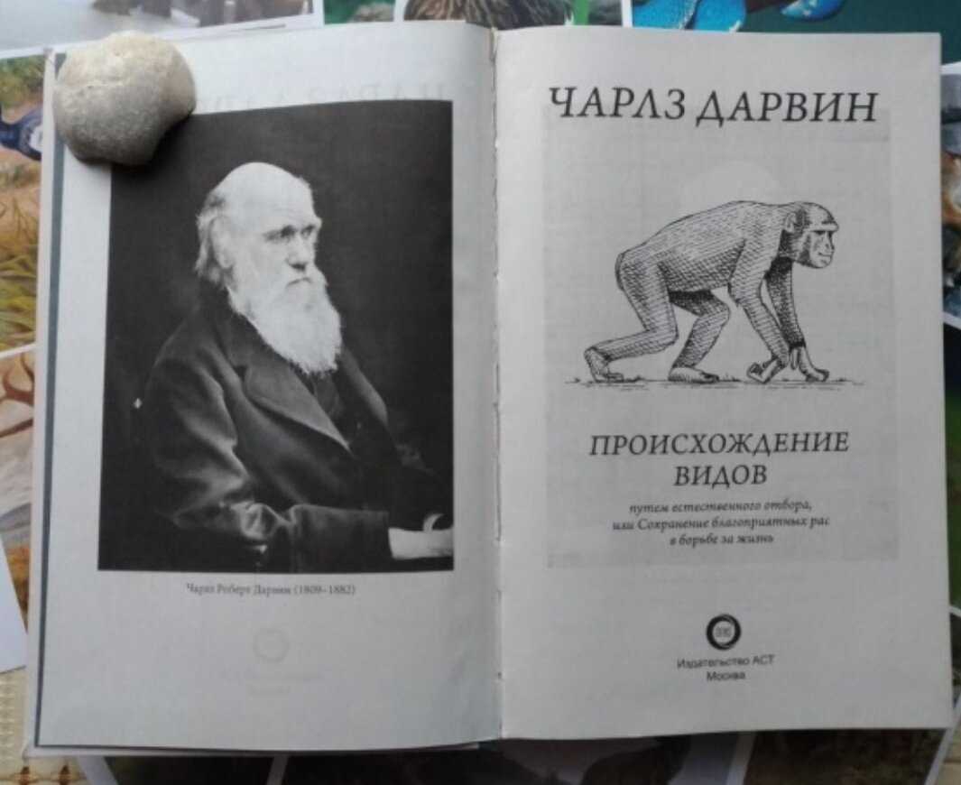 Изменчивость живых организмов | организм как биологическая система | теория | решутест. продвинутый тренажёр егэ