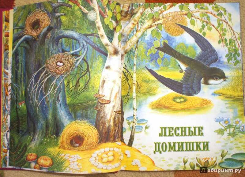 Лесные домишки — бианки в.в.