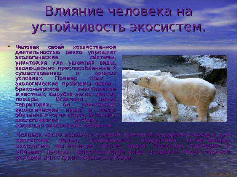 ✅ какое значение имеют озера в жизни людей - poznanie-21vek.ru