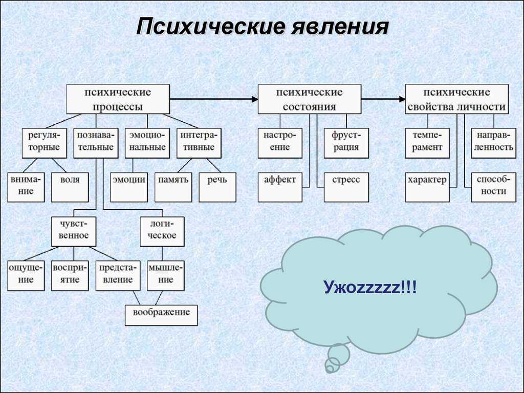 Психические процессы: виды и краткая характеристика
