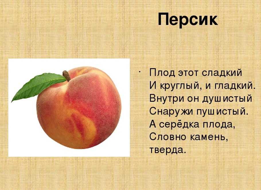Толкование народных поверий связанных с культом верблюда в узбекском фольклоре
