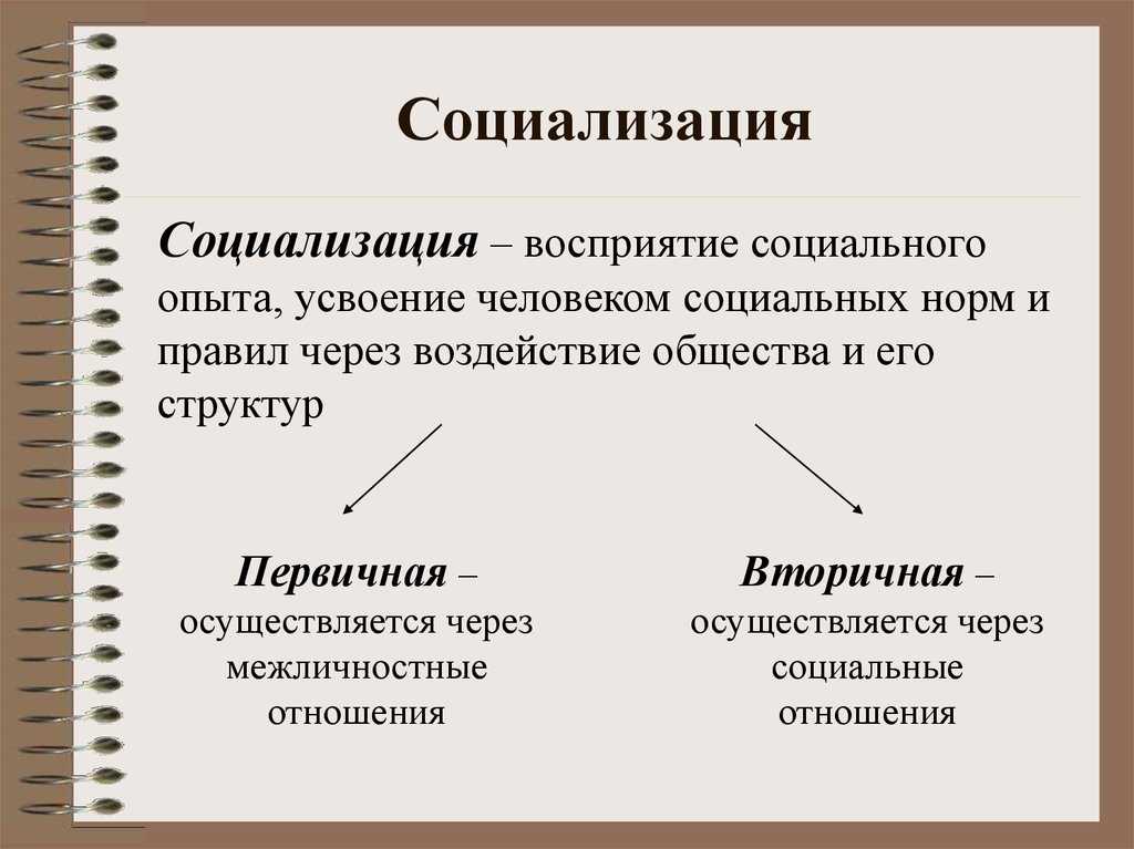 Политическая социализация граждан: что это такое и как влияет на общество