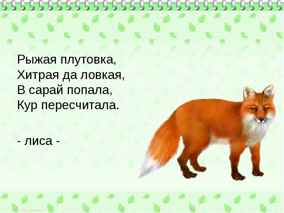 Загадки про лису для детей.