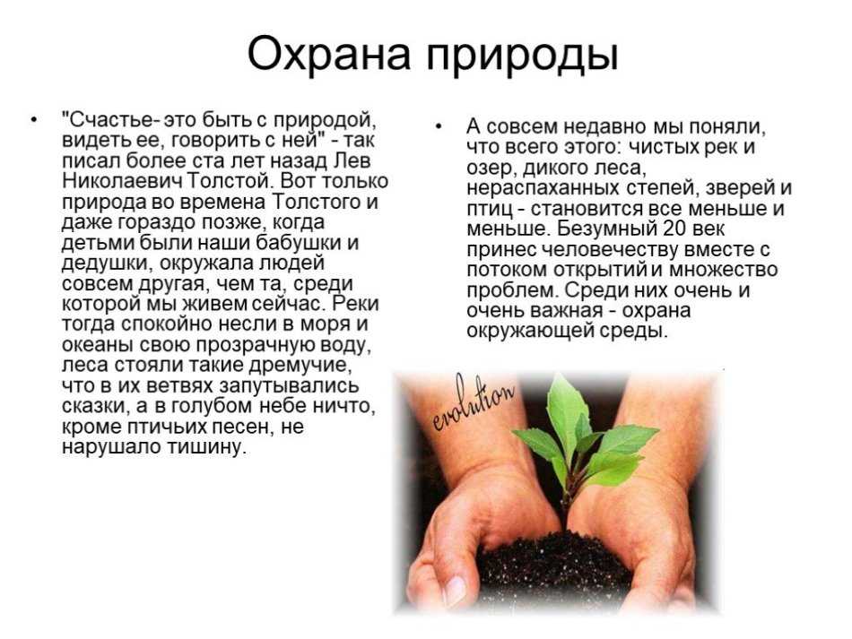 Природа родного края (краснодарский край)