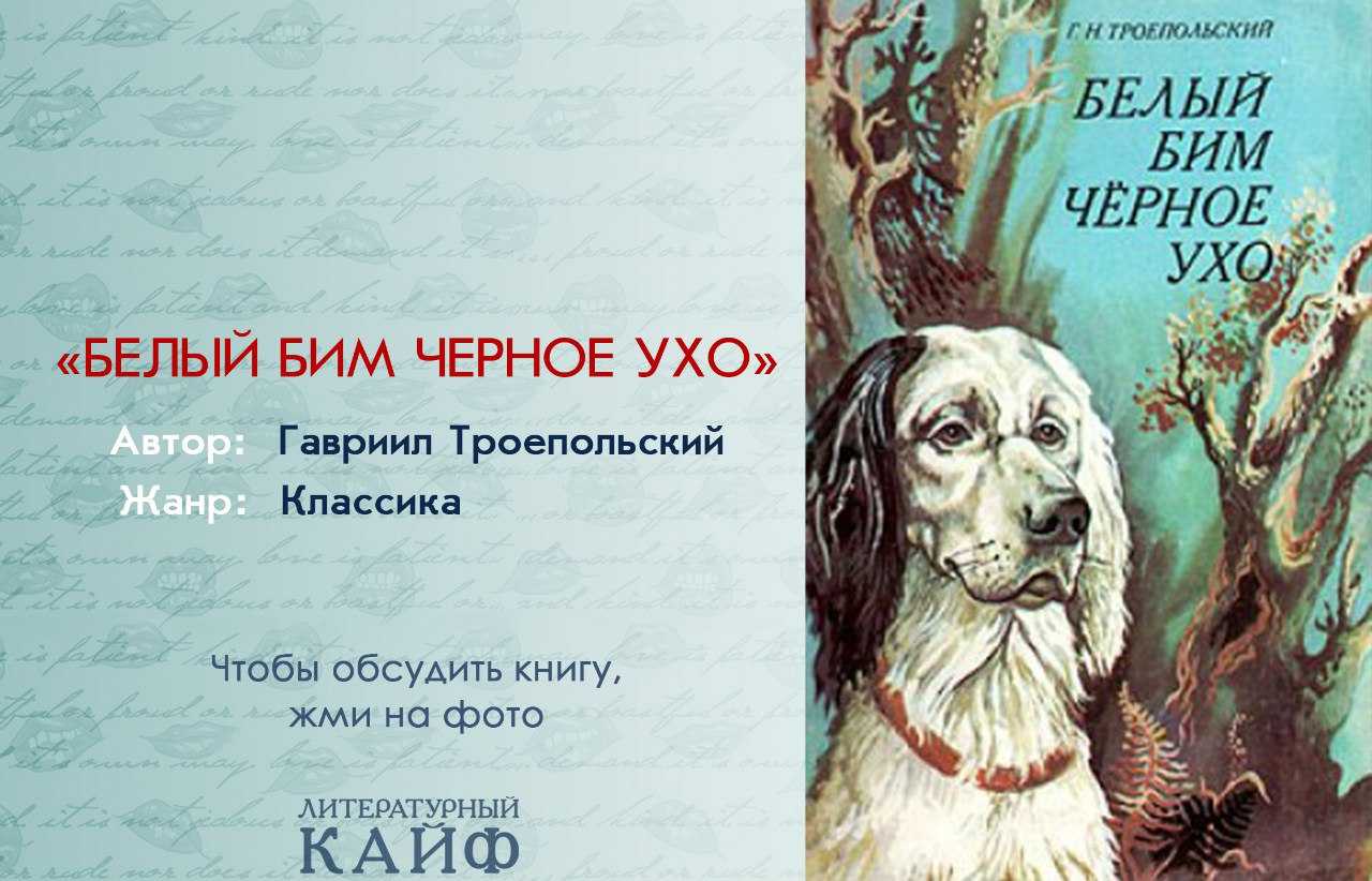 «белый бим черное ухо» краткое содержание повести гавриила троепольского – читать пересказ онлайн