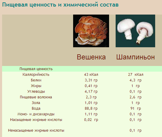 Товароведная характеристика продуктов переработки овощей плодов грибов